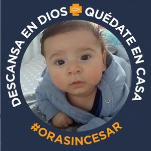 Meet your Posher, Elder